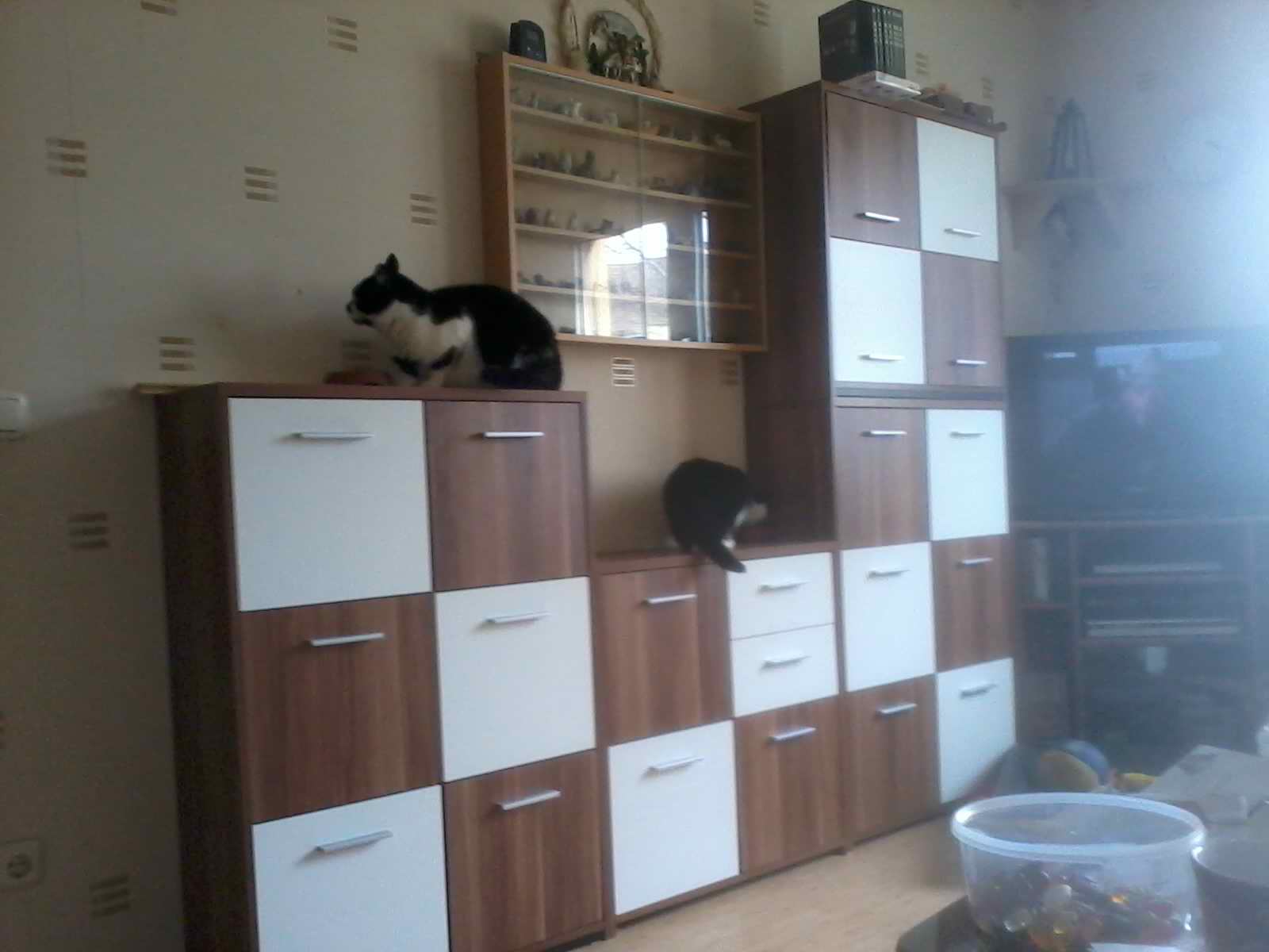 2013-03-08 16.20.11.jpg